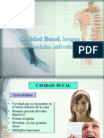 cavidadbucal-130428184421-phpapp02.pdf