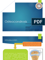 Osteocondrosis en Animales Menores