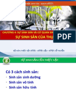 7 Hoa PDF