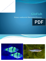 Glo Fish