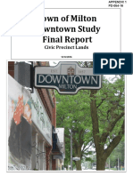 STAND ALONE REPORT Downtown Study Final Report 2