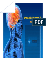 Introduccio Anatomia7777777777.pdf