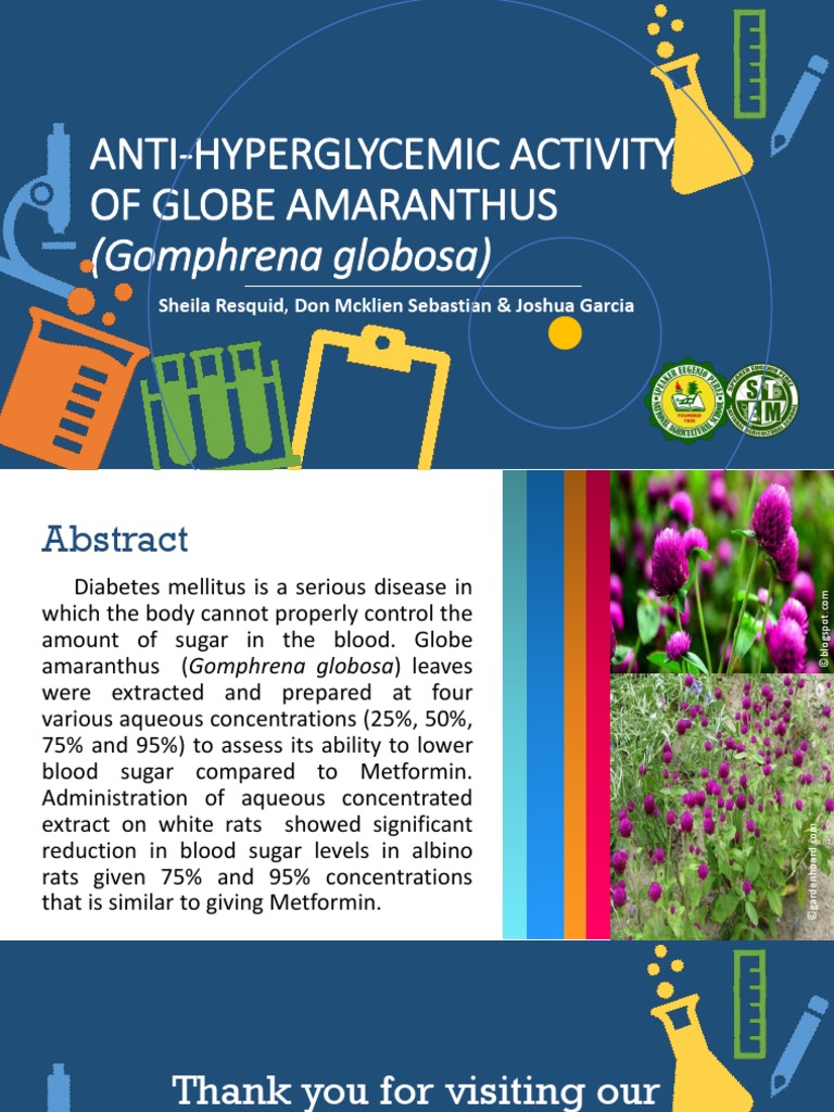 Anti-Hyperglycemic Activity of Globe Amaranthus: (Gomphrena Globosa) | PDF