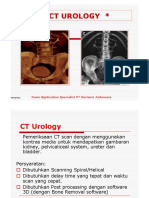 CT Urologi