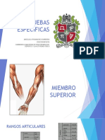 Pruebas Especificas de Miembro Superior