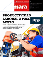 Productividad Peru Datos 2017 PDF