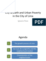 Urban Poverty and City Growth