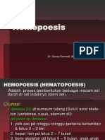 HEMATOPOESIS