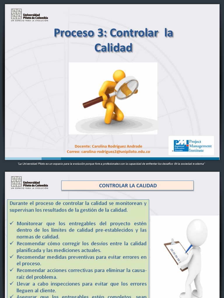 Control de Calidad en Proyectos Educativos | PDF | Gestión de la ...
