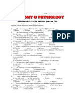 Respiratory System Review Practice Test PDF