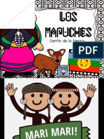 LOS MAPUCHES.pptx