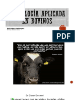 Semiologia en Bovinos