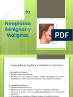diferenciaentreneoplasiasbenignasymalignas-121126161101-phpapp01
