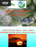Organo Log i a Vegetal