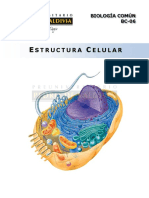 Estructura Celular.pdf