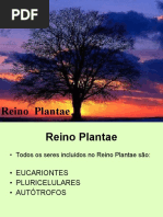 Reino Plantae