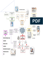 Cap 1 Mapa Etnografia