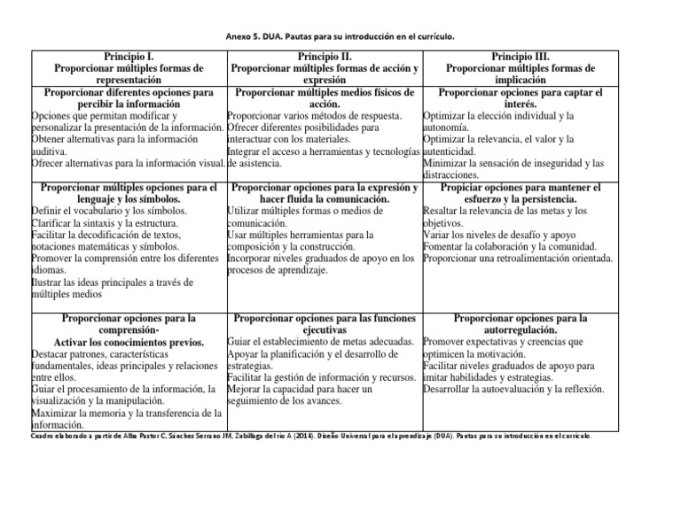 Pautas DUA para el Currículo Escolar | PDF | Plan de estudios | Información