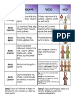 Cuadro Comparativo Sistemas y Aparatos PDF