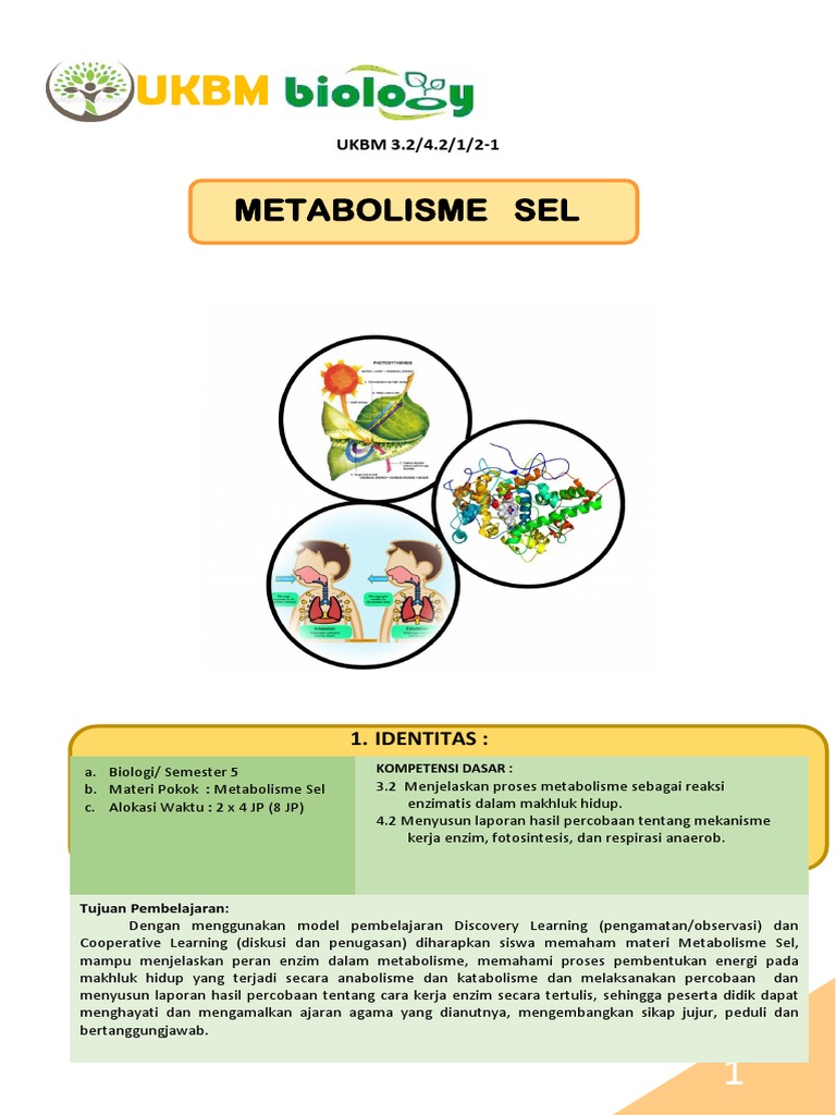 Ukbm 3 2 Metabolisme Sel Kb 1 Revisi Pdf