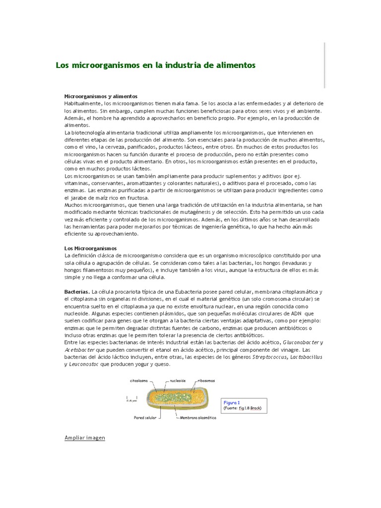 Microorganismos en la industria alimentaria | PDF | Levadura | Las ...