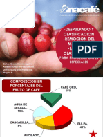 03 - Despulpado y Clasificacion - Remocion Del Mucilago - Lavado y Clasificacion PDF