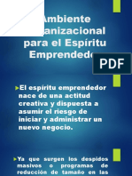Ambiente Organizacional para El Espiritu Emprendedor-1