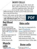 Body Cells: Skin Cells Red Blood Cells Bones and