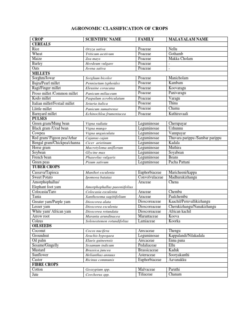 Agronomic Crops and Their Classification | PDF | Bean | Ginger