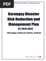 Barangay Calaocan Alicia, Isabela: Community-Based Disaster Risk Reduction and Management Plan