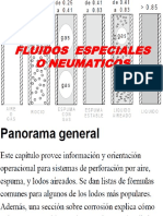 FLUIDOS ESPECIALES O NEUMATICOS.pdf