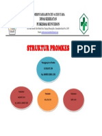 Struktur Promkes: Dinas Kesehatan Puskesmas Seunuddon