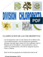4 Chlorophyta Expo