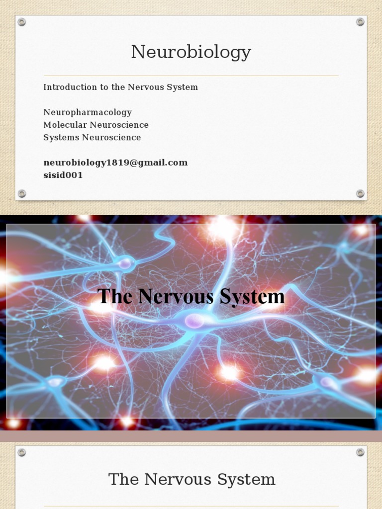 Neurobiology: Introduction To The Nervous System Neuropharmacology ...