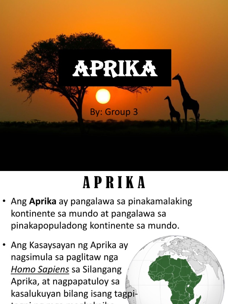 Ap Reporting | PDF