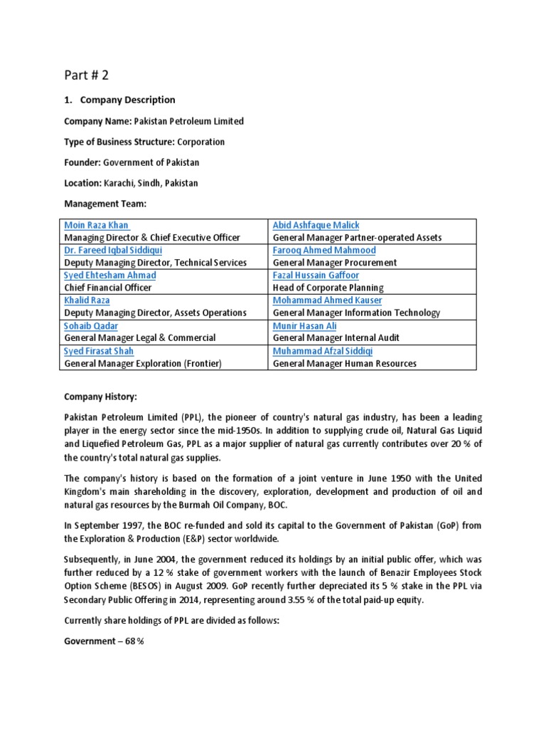PPL Management Overview 2009 | PDF | Economic Development | Employment