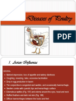 Poultry Health Management