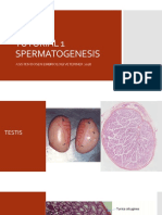 Tutorial 1 - Spermatogenesis 2