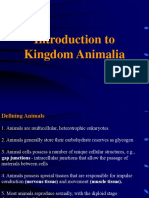 3-Kingdom Animalia.ppt