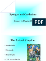 Sponges and Cnidarians: Biology II: Chapter 26