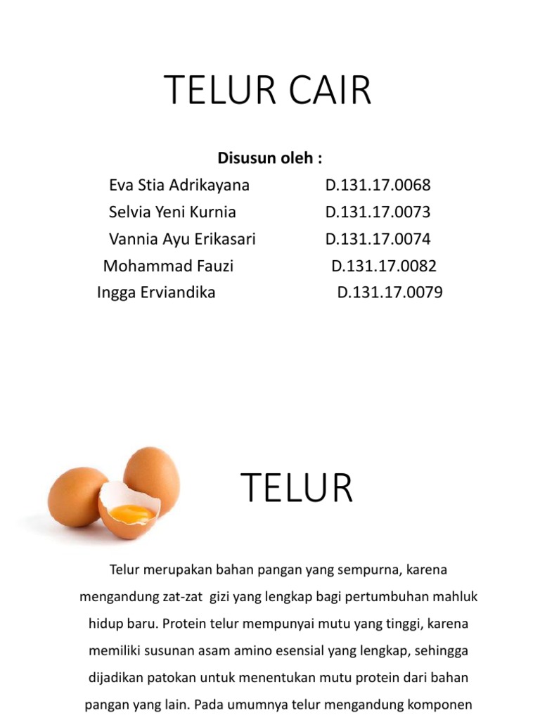 Campuran telur dan air sebagai pelapis cair