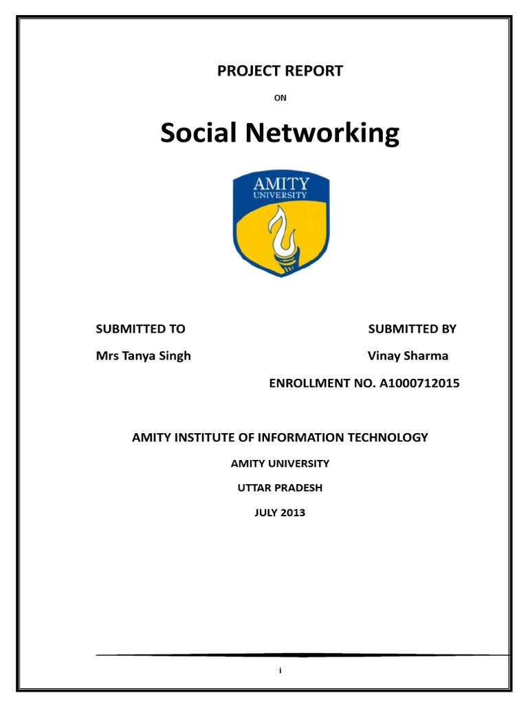 Social Networking Project Report PDF Software Testing Feasibility Study