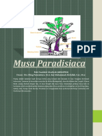 Musa Paradisiaca - 4401417024 - Putri SA PDF