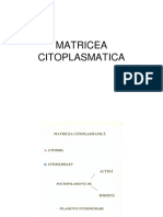 7,8 Curs Matricea Citoplasmatica - Curs 7-8. Bausic