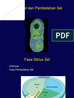 Mitosis Meiosis Pka PDF