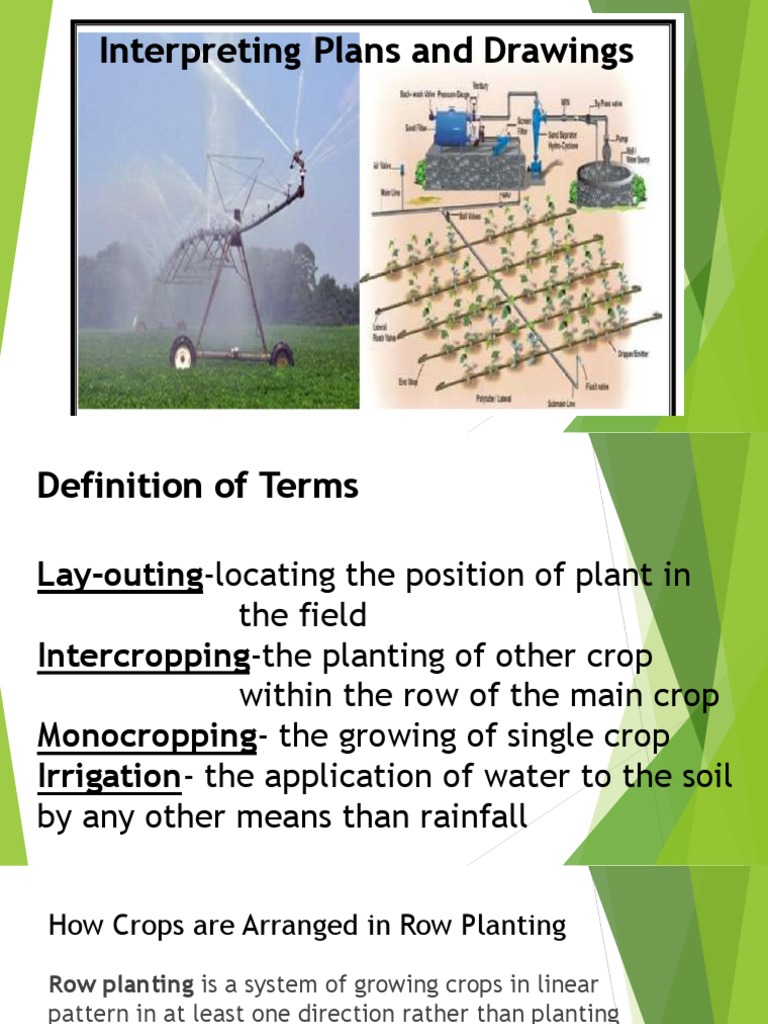 Intercropping and Row Planting Guide | PDF