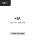Phase II M&A Process Letter Template | PDF