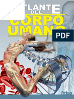 Corpo Umano