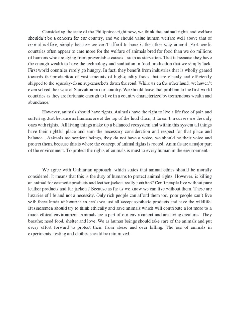 proper care of street animals essay