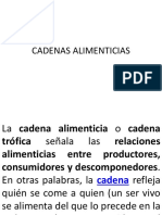 Cadenas Alimenticias